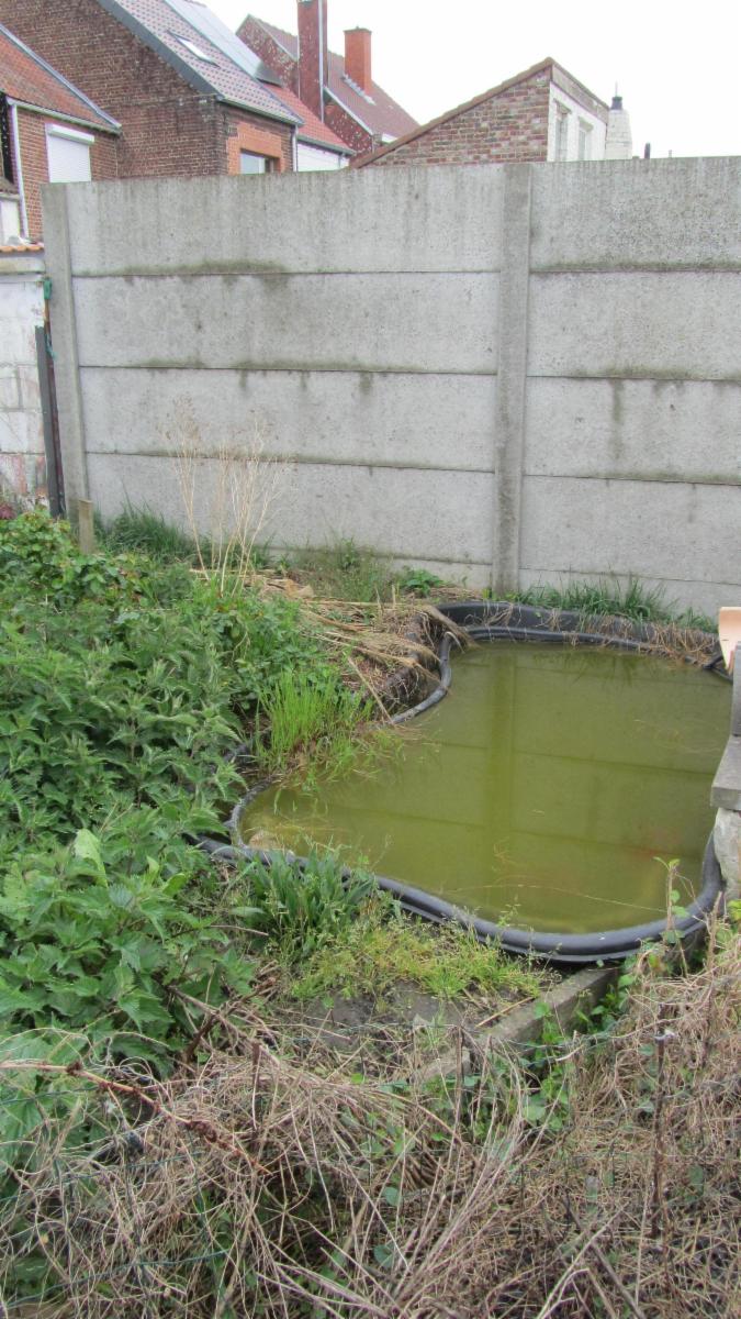 photo 29 du bien Maison d'habitation