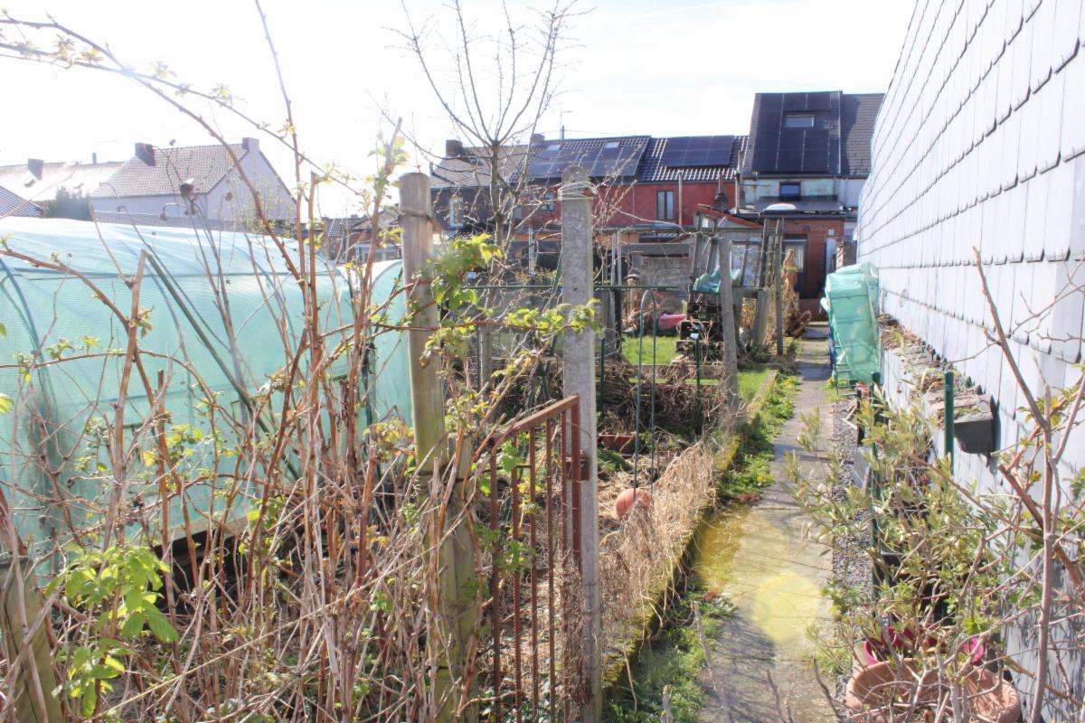 Photo 7 du bien Maison 2 façades rénovée avec jardin