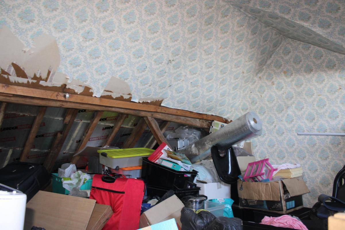 Photo 27 du bien Maison 2 façades rénovée avec jardin