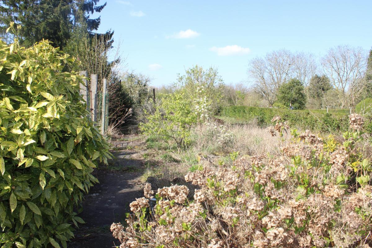 Photo 7 du bien Maison 3 façades avec garage, jardin et passage latéral
