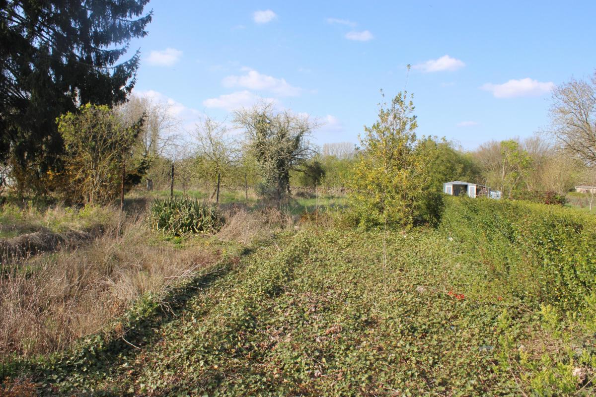 Photo 8 du bien Maison 3 façades avec garage, jardin et passage latéral