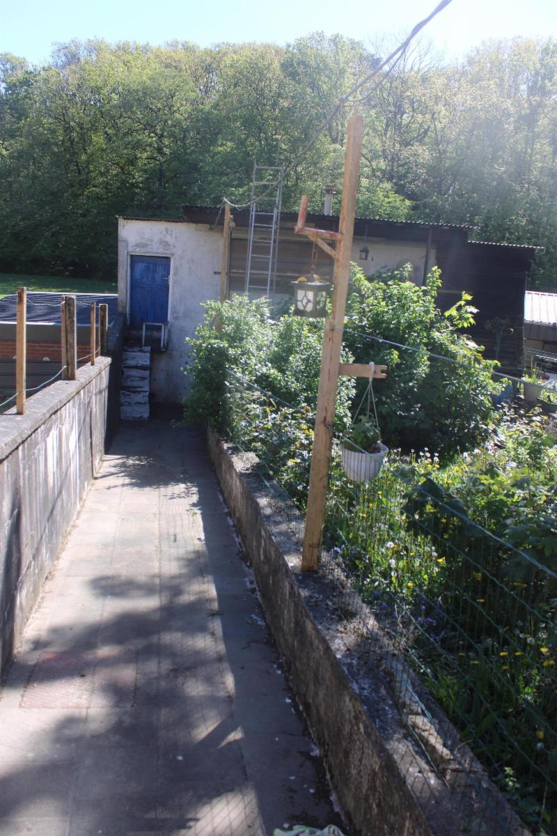 Photo 4 du bien Petite maison 2 façades avec jardin et garage