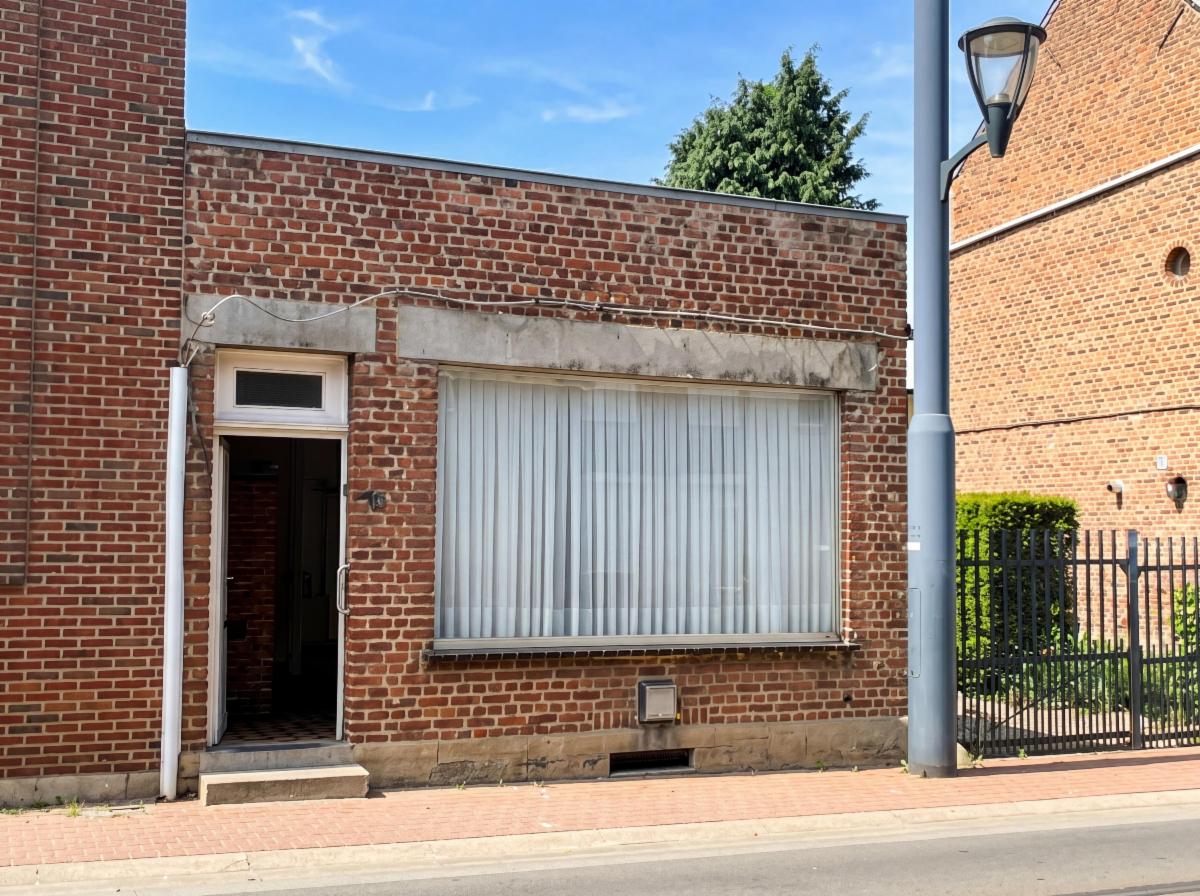 Photo 4 du bien Maison à rénover 3 façades avec jardin
