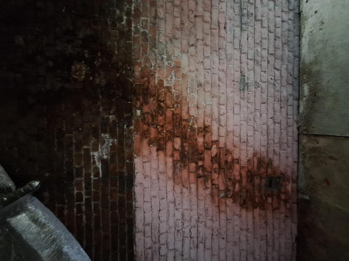 photo 19 du bien Maison 3 chambres avec jardin