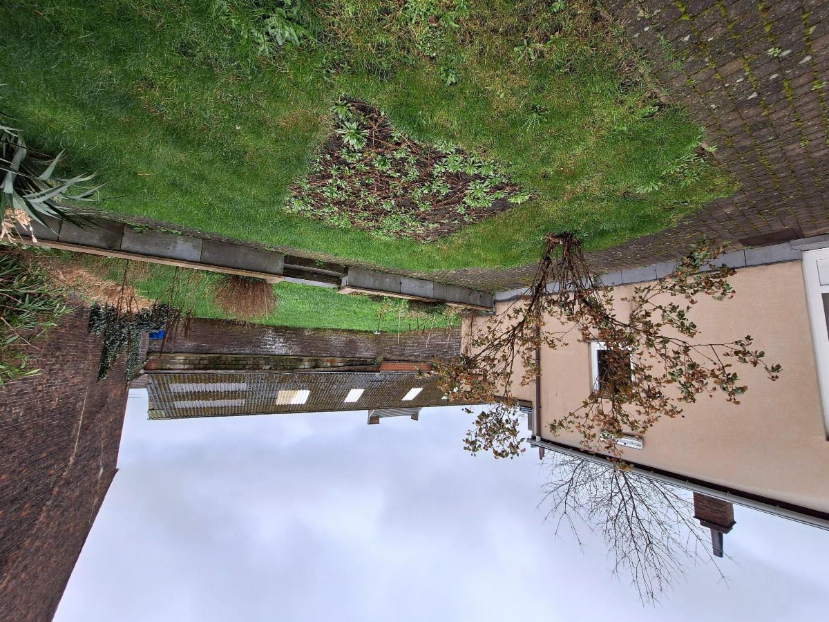 photo 25 du bien Maison 3 chambres avec jardin