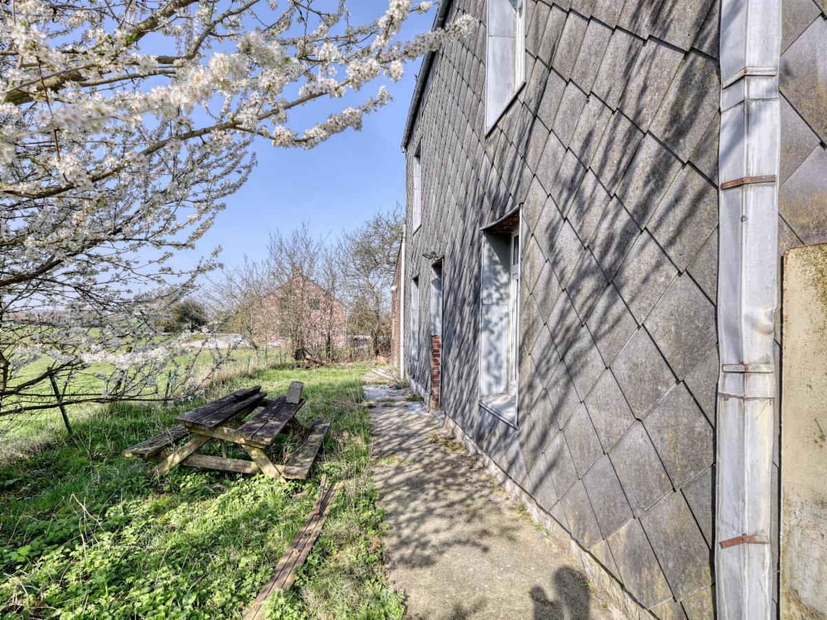 photo 4 du bien Attrayante petite maison avec grand jardin