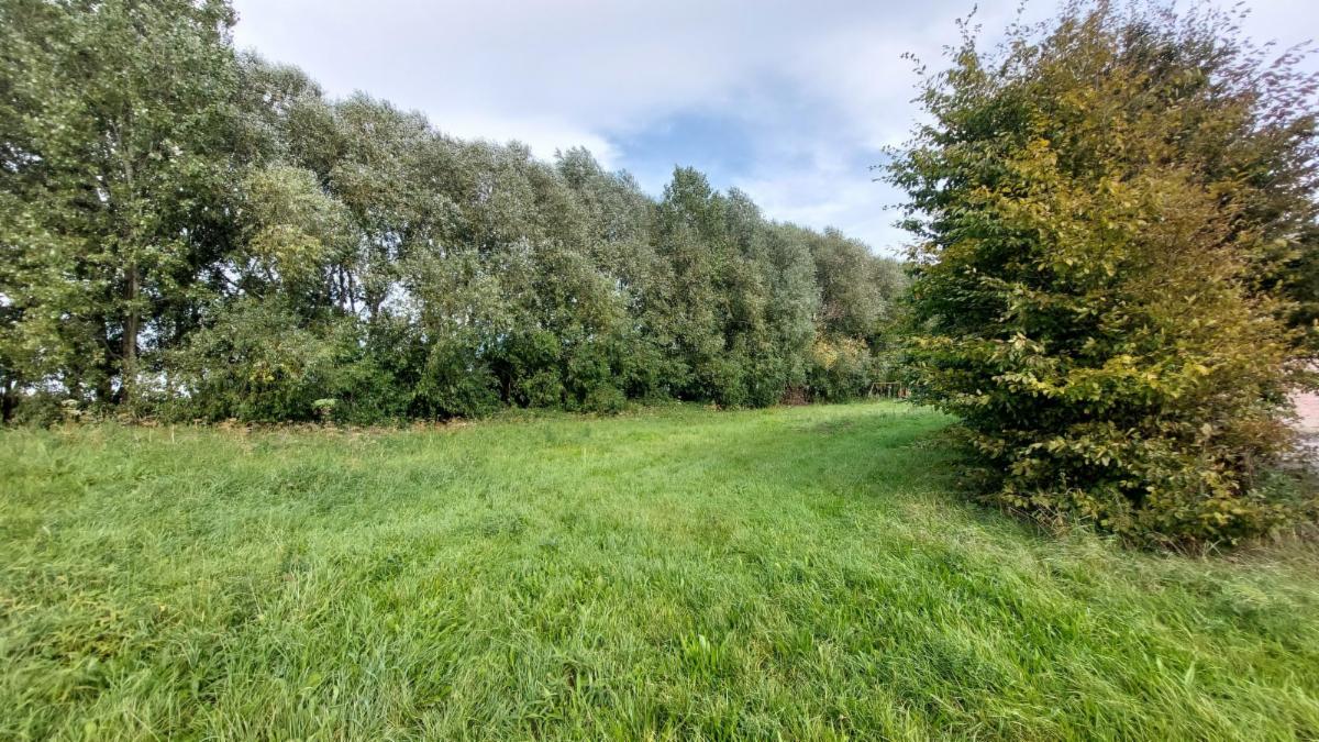 Terrain à vendre - Clos des Noisetiers, 7712 Herseaux