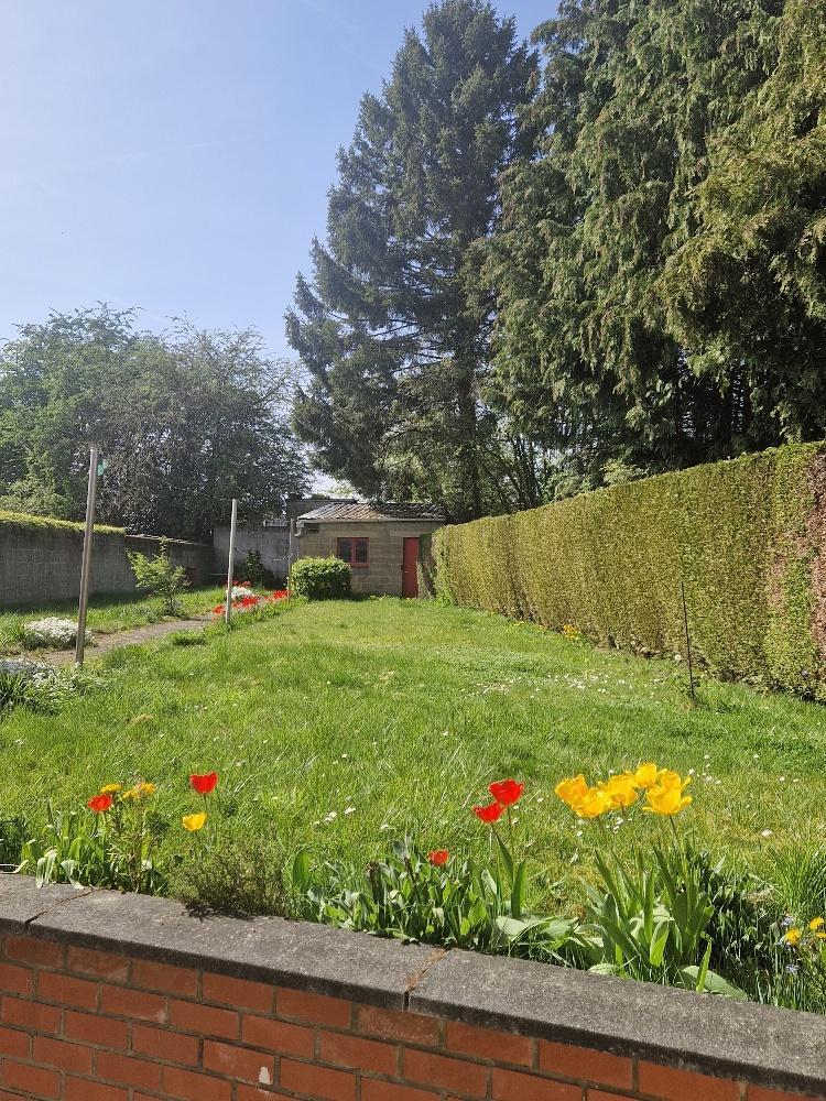 photo 12 du bien Charmante maison 4 façades.