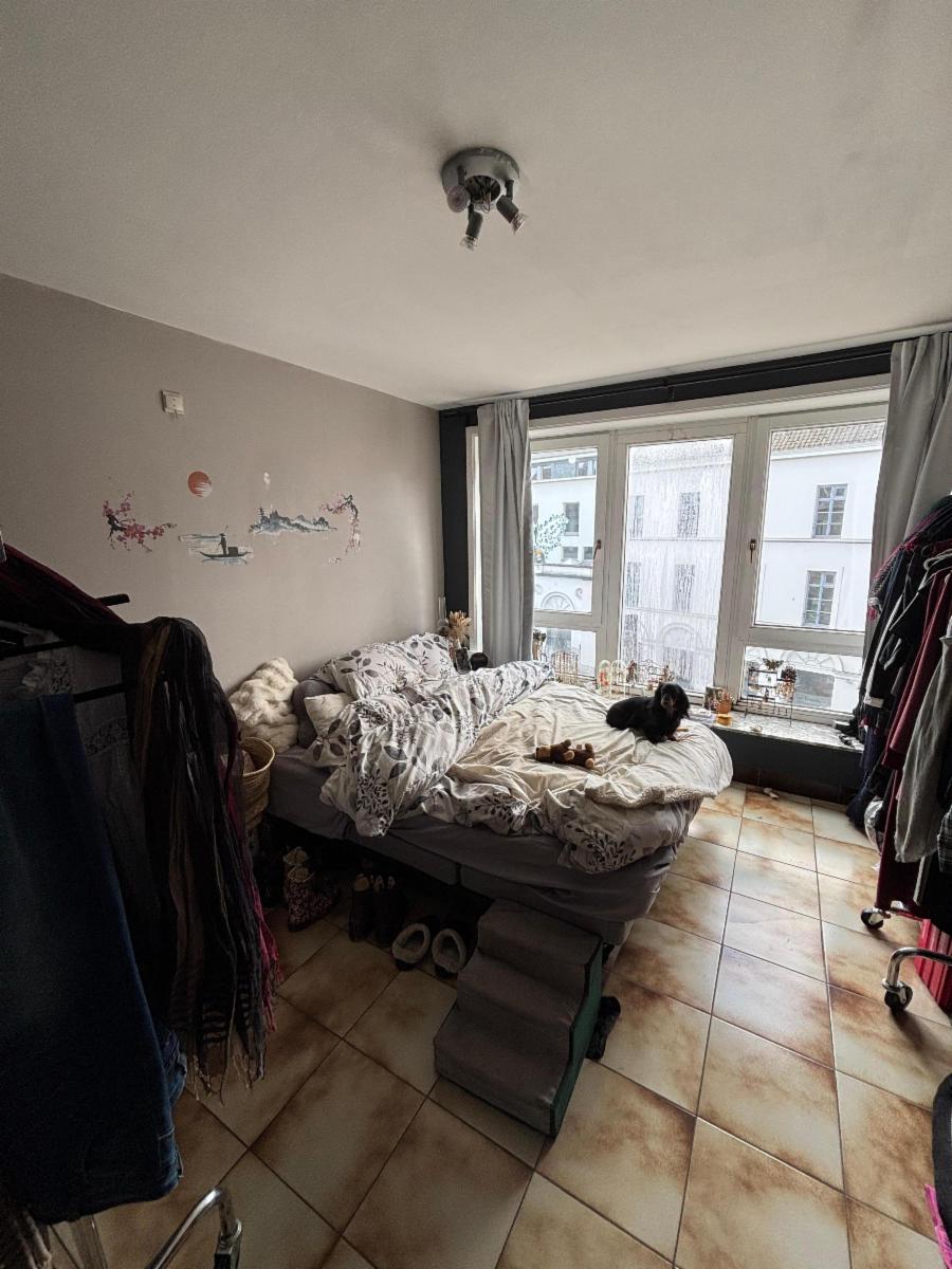 photo 5 du bien Appartement lumineux